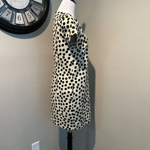 J Crew Cream and Black Polka Dot knee Length Short Sleeve Dress Size 2 - Picture 5 of 11